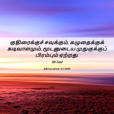 Picture 06 - நீதிமொழிகள் 26:3 TAMIRV - குதிரைக்குச் - Bible Verse Picture