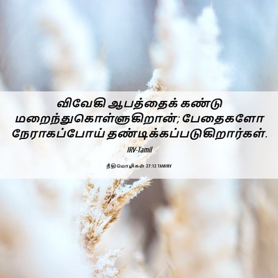 Picture 06 - நீதிமொழிகள் 27:12 TAMIRV - விவேகி ஆபத்தைக் - Bible Verse Picture