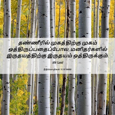 Picture 06 - நீதிமொழிகள் 27:19 TAMIRV - தண்ணீரில் - Bible Verse Picture