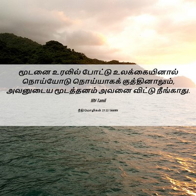 Picture 06 - நீதிமொழிகள் 27:22 TAMIRV - மூடனை உரலில் - Bible Verse Picture