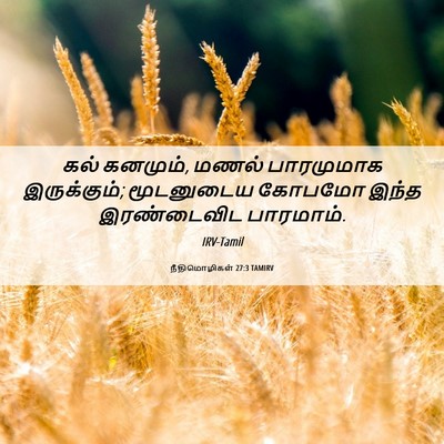 Picture 06 - நீதிமொழிகள் 27:3 TAMIRV - கல் கனமும், மணல் - Bible Verse Picture