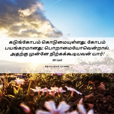 Picture 06 - நீதிமொழிகள் 27:4 TAMIRV - கடுங்கோபம் - Bible Verse Picture