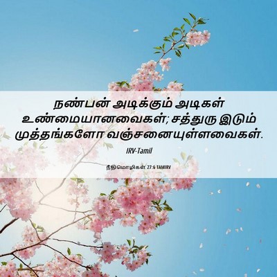 Picture 06 - நீதிமொழிகள் 27:6 TAMIRV - நண்பன் அடிக்கும் - Bible Verse Picture