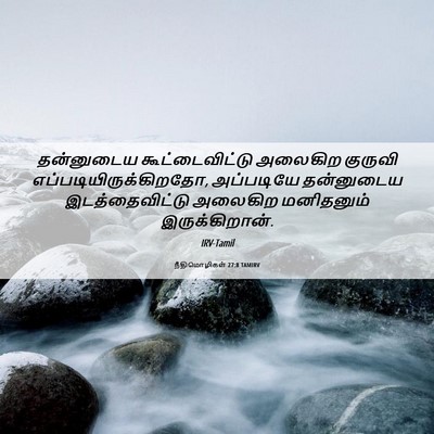 Picture 06 - நீதிமொழிகள் 27:8 TAMIRV - தன்னுடைய - Bible Verse Picture