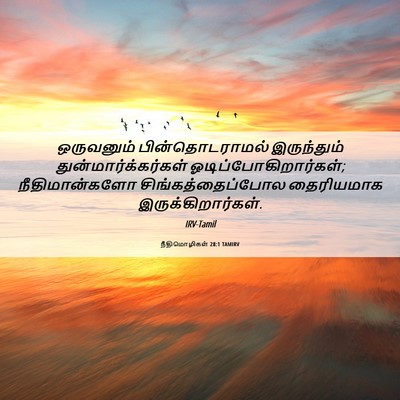 Picture 06 - நீதிமொழிகள் 28:1 TAMIRV - ஒருவனும் - Bible Verse Picture