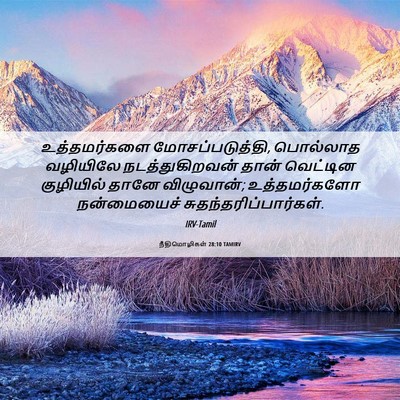 Picture 06 - நீதிமொழிகள் 28:10 TAMIRV - உத்தமர்களை - Bible Verse Picture