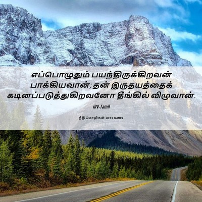 Picture 06 - நீதிமொழிகள் 28:14 TAMIRV - எப்பொழுதும் - Bible Verse Picture
