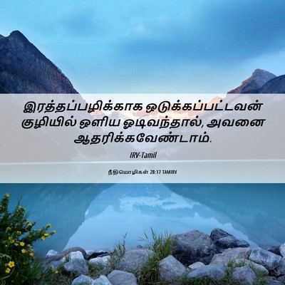 Picture 06 - நீதிமொழிகள் 28:17 TAMIRV - இரத்தப்பழிக்காக - Bible Verse Picture