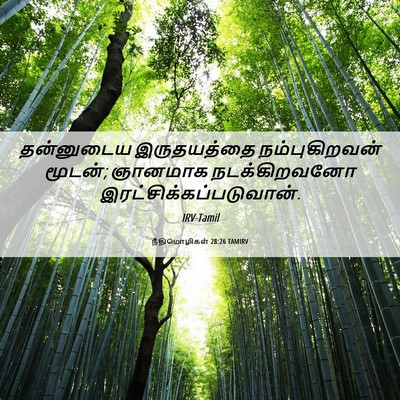 Picture 06 - நீதிமொழிகள் 28:26 TAMIRV - தன்னுடைய - Bible Verse Picture