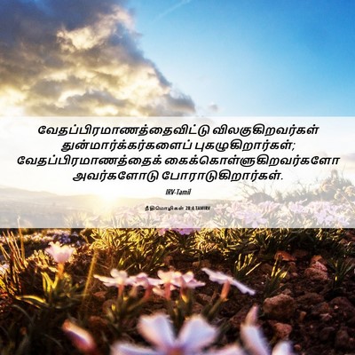 Picture 06 - நீதிமொழிகள் 28:4 TAMIRV -  - Bible Verse Picture