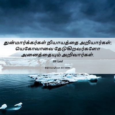 Picture 06 - நீதிமொழிகள் 28:5 TAMIRV - துன்மார்க்கர்கள் - Bible Verse Picture