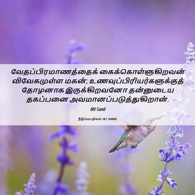 Picture 06 - நீதிமொழிகள் 28:7 TAMIRV -  - Bible Verse Picture