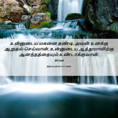 Picture 06 - நீதிமொழிகள் 29:17 TAMIRV - உன்னுடைய மகனை - Bible Verse Picture