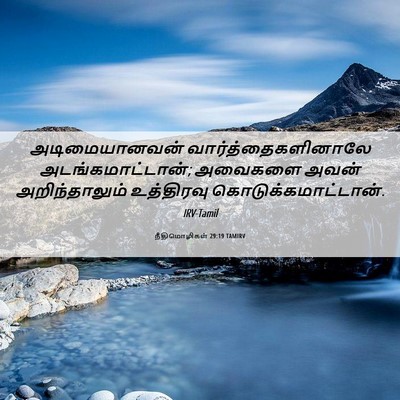 Picture 06 - நீதிமொழிகள் 29:19 TAMIRV - அடிமையானவன் - Bible Verse Picture