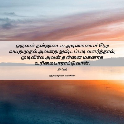 Picture 06 - நீதிமொழிகள் 29:21 TAMIRV - ஒருவன் தன்னுடைய - Bible Verse Picture