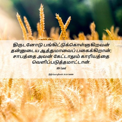 Picture 06 - நீதிமொழிகள் 29:24 TAMIRV - திருடனோடு - Bible Verse Picture