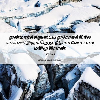 Picture 06 - நீதிமொழிகள் 29:6 TAMIRV - துன்மார்க்கனுடைய - Bible Verse Picture