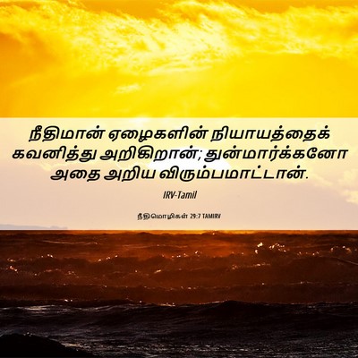 Picture 06 - நீதிமொழிகள் 29:7 TAMIRV - நீதிமான் ஏழைகளின் - Bible Verse Picture