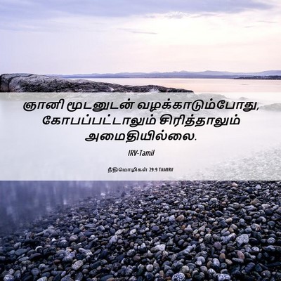 Picture 06 - நீதிமொழிகள் 29:9 TAMIRV - ஞானி மூடனுடன் - Bible Verse Picture