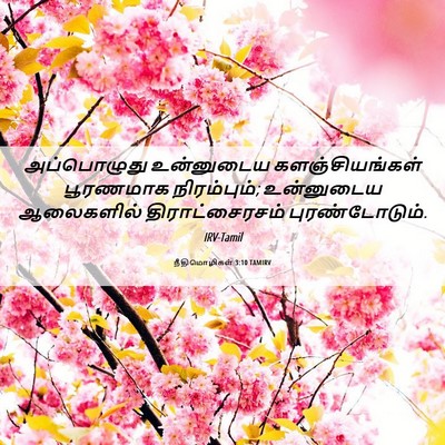 Picture 06 - நீதிமொழிகள் 3:10 TAMIRV - அப்பொழுது - Bible Verse Picture
