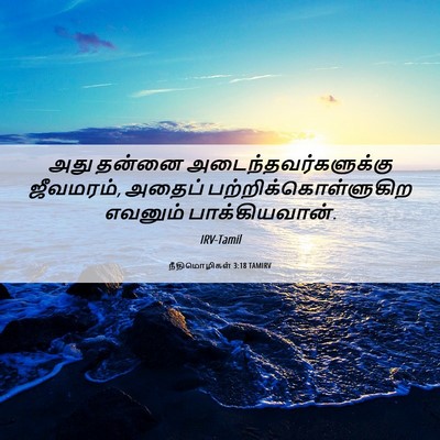 Picture 06 - நீதிமொழிகள் 3:18 TAMIRV - அது தன்னை - Bible Verse Picture
