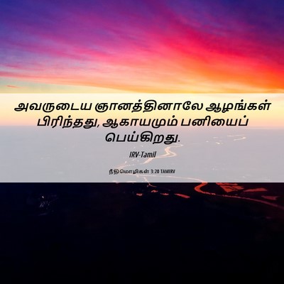 Picture 06 - நீதிமொழிகள் 3:20 TAMIRV - அவருடைய - Bible Verse Picture