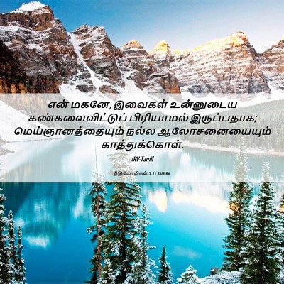 Picture 06 - நீதிமொழிகள் 3:21 TAMIRV - என் மகனே, இவைகள் - Bible Verse Picture