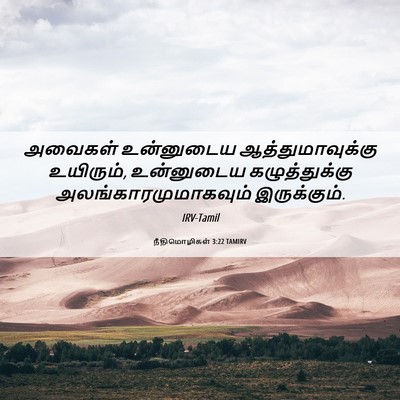 Picture 06 - நீதிமொழிகள் 3:22 TAMIRV - அவைகள் உன்னுடைய - Bible Verse Picture