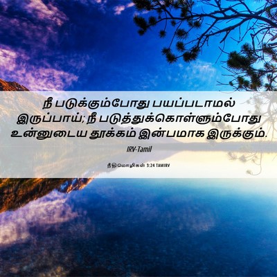 Picture 06 - நீதிமொழிகள் 3:24 TAMIRV - நீ படுக்கும்போது - Bible Verse Picture