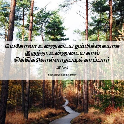 Picture 06 - நீதிமொழிகள் 3:26 TAMIRV - யெகோவா உன்னுடைய - Bible Verse Picture
