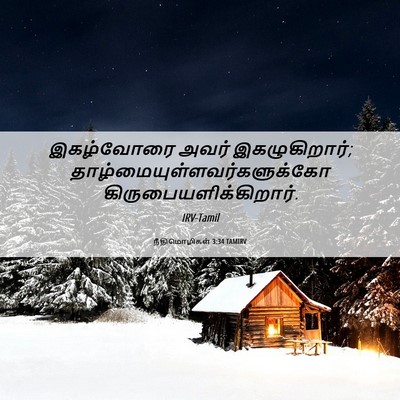 Picture 06 - நீதிமொழிகள் 3:34 TAMIRV - இகழ்வோரை அவர் - Bible Verse Picture