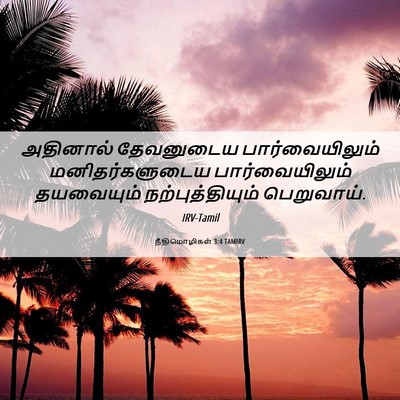 Picture 06 - நீதிமொழிகள் 3:4 TAMIRV - அதினால் தேவனுடைய - Bible Verse Picture
