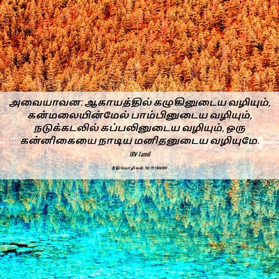 Picture 06 - நீதிமொழிகள் 30:19 TAMIRV - அவையாவன: - Bible Verse Picture
