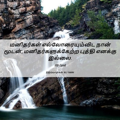 Picture 06 - நீதிமொழிகள் 30:2 TAMIRV - மனிதர்கள் - Bible Verse Picture