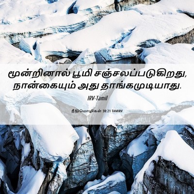 Picture 06 - நீதிமொழிகள் 30:21 TAMIRV - மூன்றினால் பூமி - Bible Verse Picture