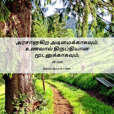 Picture 06 - நீதிமொழிகள் 30:22 TAMIRV - அரசாளுகிற - Bible Verse Picture