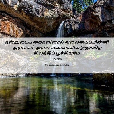 Picture 06 - நீதிமொழிகள் 30:28 TAMIRV - தன்னுடைய - Bible Verse Picture