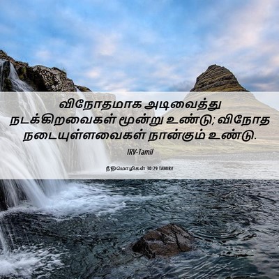 Picture 06 - நீதிமொழிகள் 30:29 TAMIRV - விநோதமாக - Bible Verse Picture