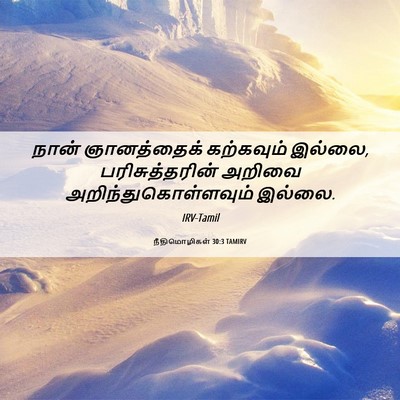 Picture 06 - நீதிமொழிகள் 30:3 TAMIRV - நான் ஞானத்தைக் - Bible Verse Picture