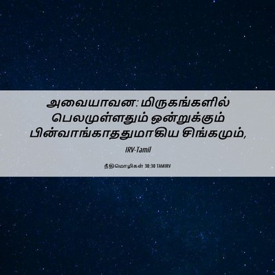 Picture 06 - நீதிமொழிகள் 30:30 TAMIRV - அவையாவன: - Bible Verse Picture