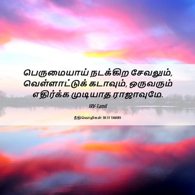 Picture 06 - நீதிமொழிகள் 30:31 TAMIRV - பெருமையாய் - Bible Verse Picture