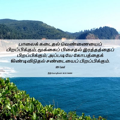 Picture 06 - நீதிமொழிகள் 30:33 TAMIRV - பாலைக் கடைதல் - Bible Verse Picture