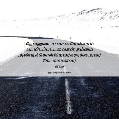 Picture 06 - நீதிமொழிகள் 30:5 TAMIRV - தேவனுடைய - Bible Verse Picture