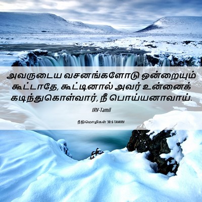 Picture 06 - நீதிமொழிகள் 30:6 TAMIRV - அவருடைய - Bible Verse Picture