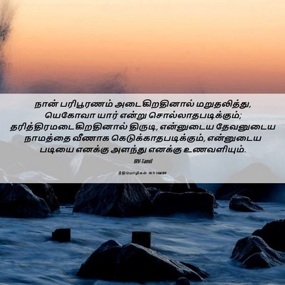 Picture 06 - நீதிமொழிகள் 30:9 TAMIRV - நான் பரிபூரணம் - Bible Verse Picture