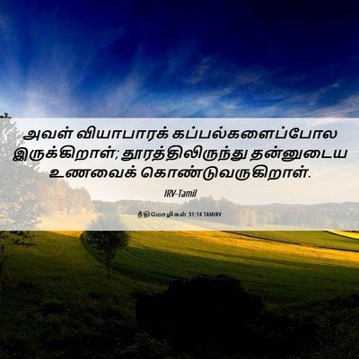 Picture 06 - நீதிமொழிகள் 31:14 TAMIRV - அவள் வியாபாரக் - Bible Verse Picture