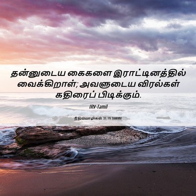 Picture 06 - நீதிமொழிகள் 31:19 TAMIRV - தன்னுடைய கைகளை - Bible Verse Picture
