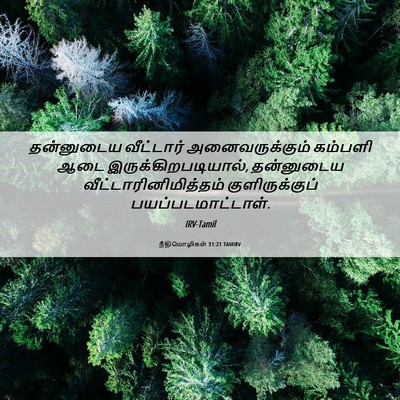 Picture 06 - நீதிமொழிகள் 31:21 TAMIRV - தன்னுடைய வீட்டார் - Bible Verse Picture