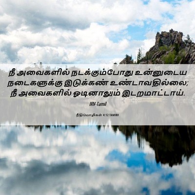 Picture 06 - நீதிமொழிகள் 4:12 TAMIRV - நீ அவைகளில் - Bible Verse Picture