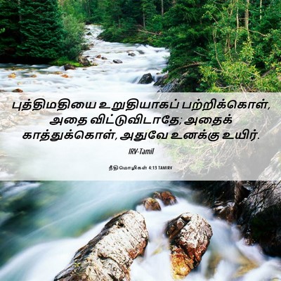 Picture 06 - நீதிமொழிகள் 4:13 TAMIRV - புத்திமதியை - Bible Verse Picture